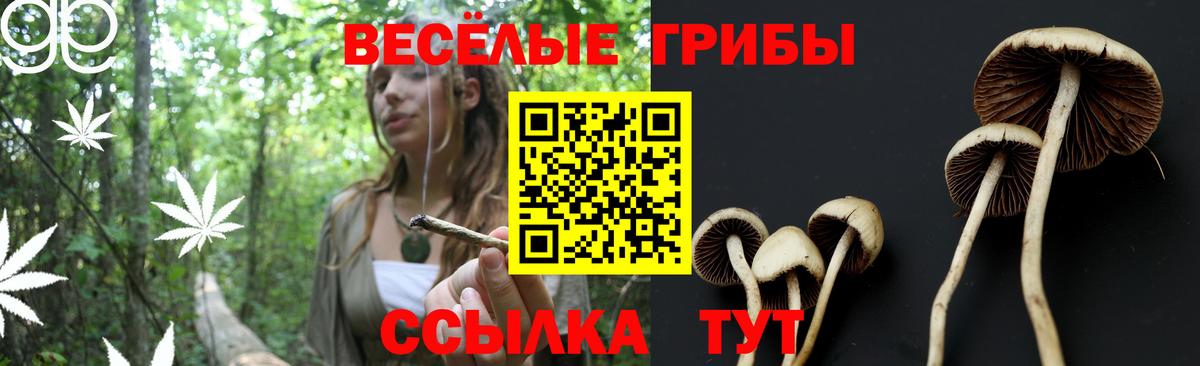 Псилоцибиновые грибы MAGIC MUSHROOMS  Псилоцибиновые грибы GOLDEN TEACHER  Вход с VPN  Хабаровск 